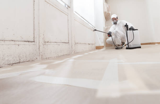 24/7 Emergency Black Mold Remediation experts in Gladstone, NJ