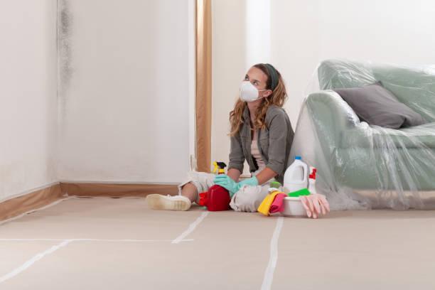 Reliable Black Mold Remediation contractor in Gladstone, NJ by Mold Remediation HQ